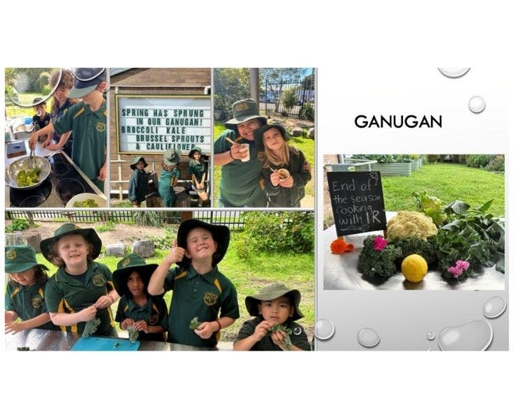 A selection of photos of students cooking in the garden and green vegetables.