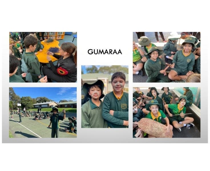 A selection of photos showing students participating in cultural activities.