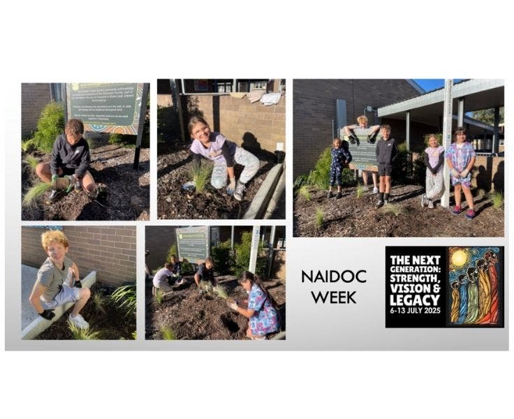 A selection of photos showing students planting native plants in the garden.